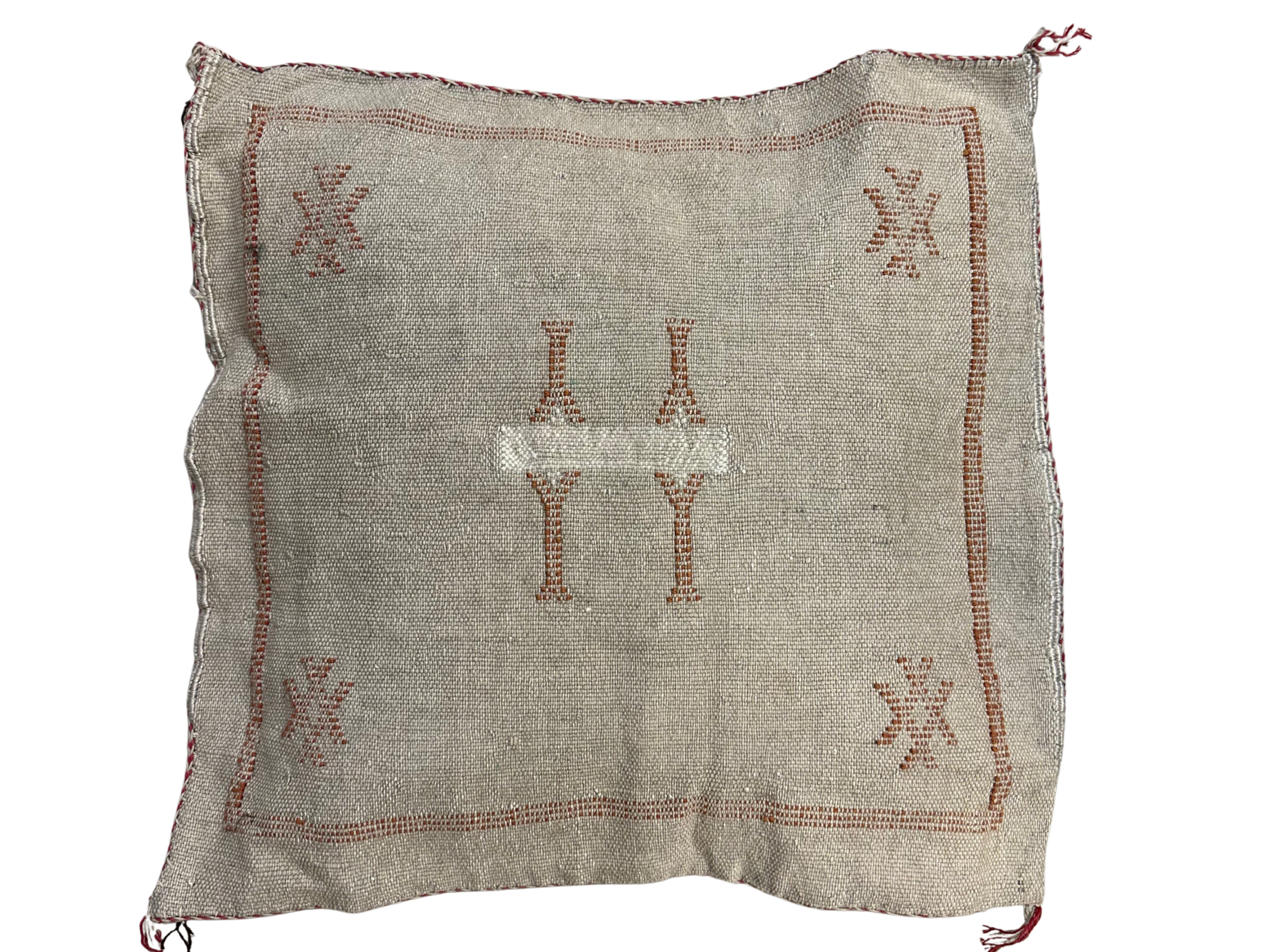 Pudebetræk i kaktussilke - størrelse ca. 45 x 45 cm.