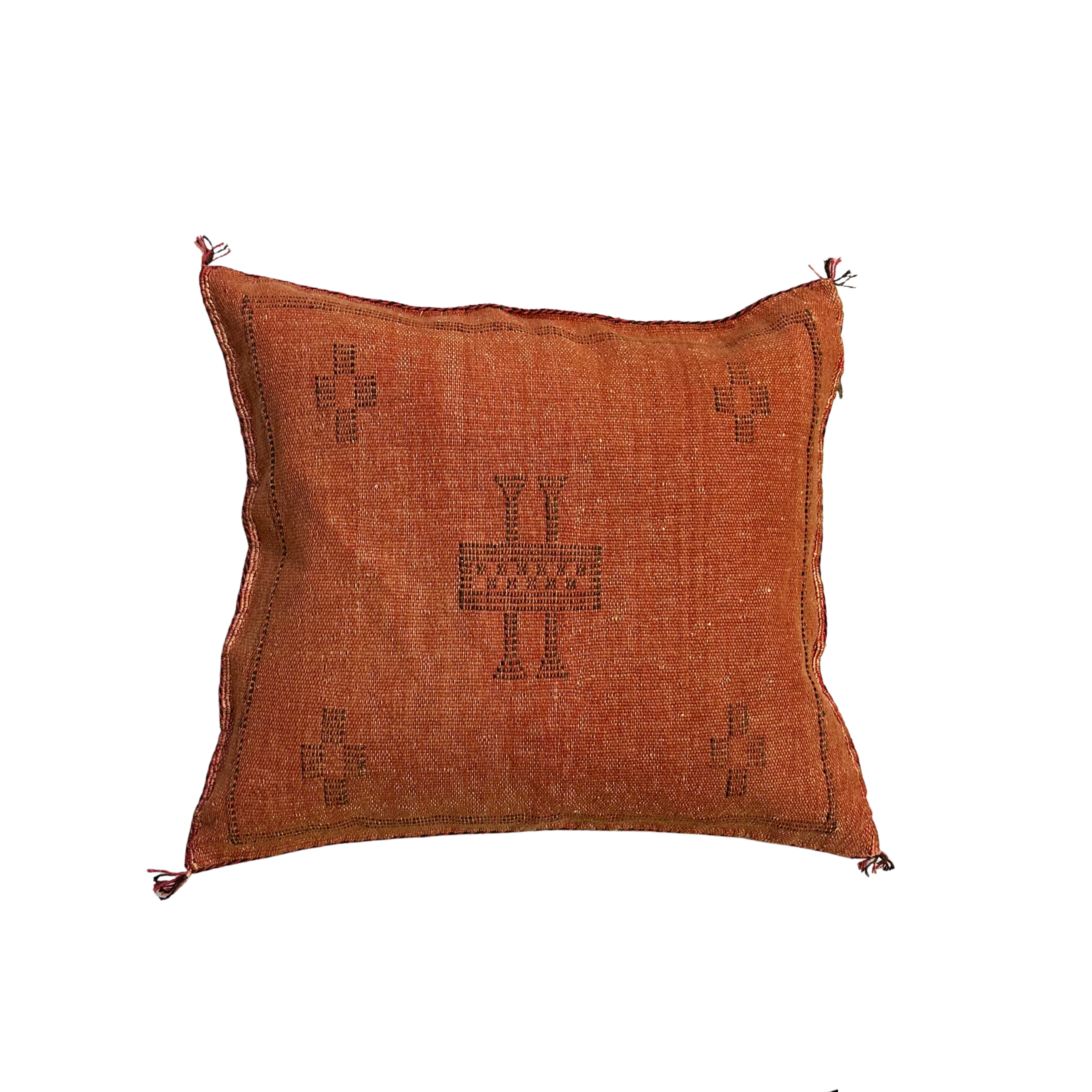 Pudebetræk i kaktussilke - størrelse ca. 45 x 45 cm.