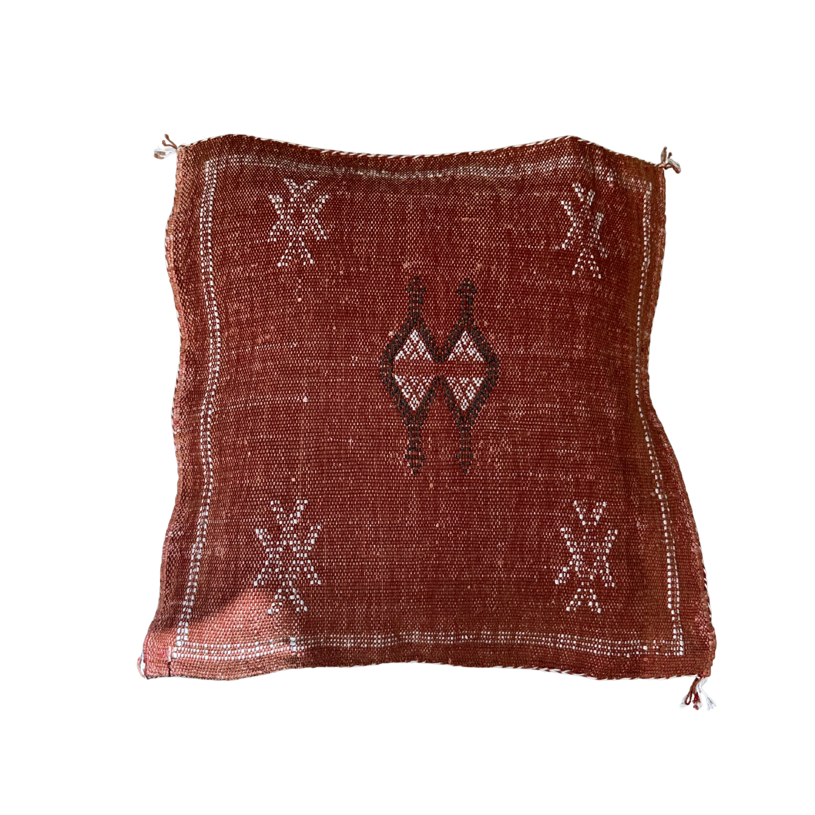 Cushion cover in cactus silk - size 45 x 45 cm.