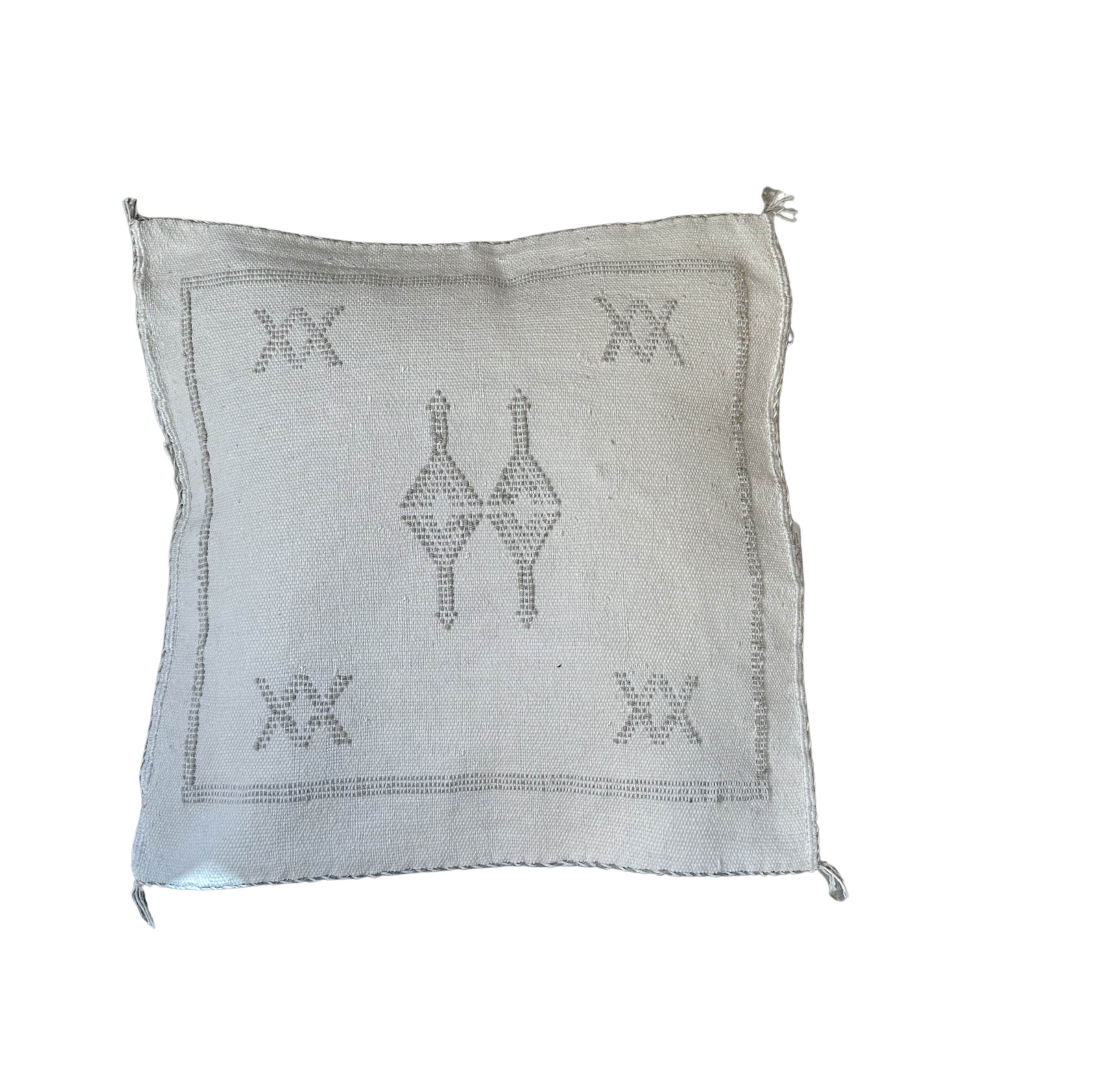 Cushion cover in cactus silk - size 45 x 45 cm.
