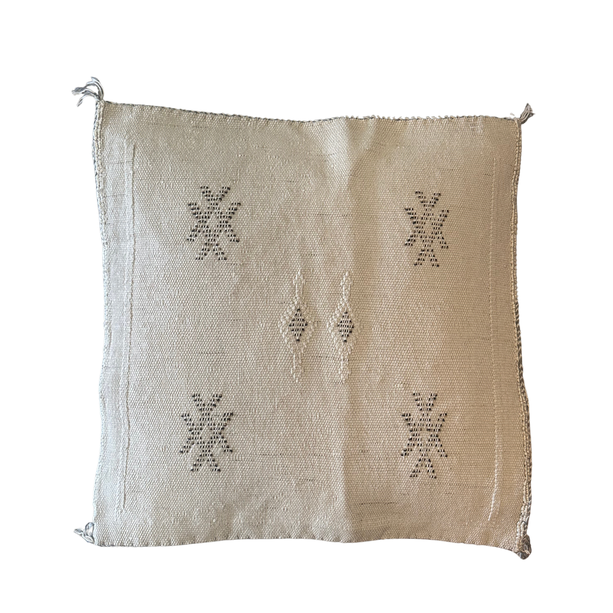 Cushion cover in cactus silk - size 45 x 45 cm.
