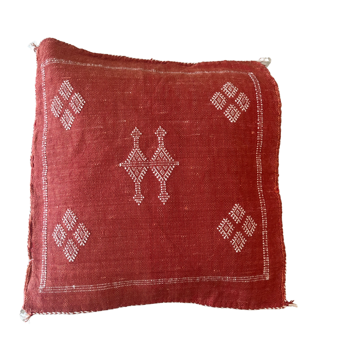 Cushion cover in cactus silk - size 45 x 45 cm.