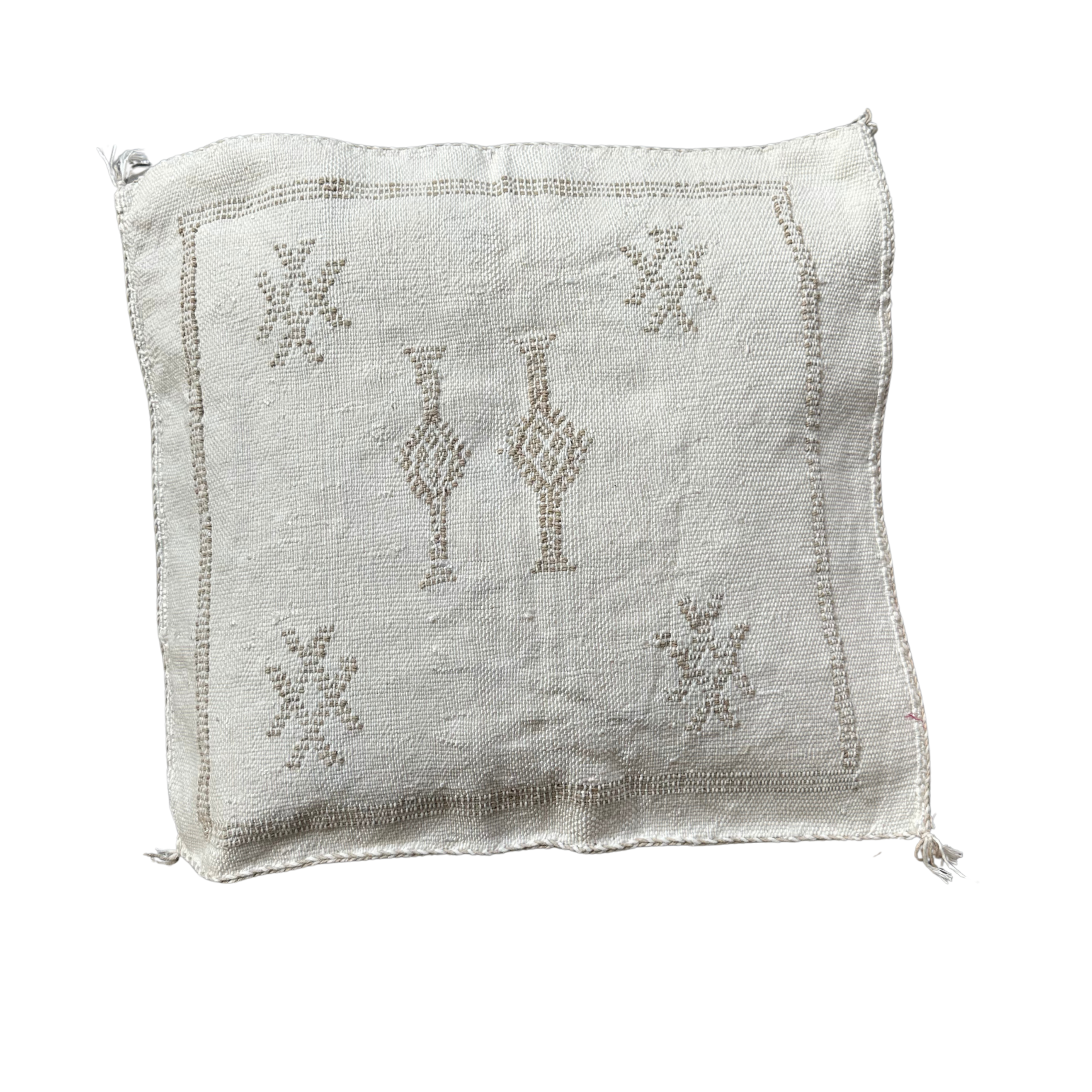 Pudebetræk i kaktussilke - størrelse ca. 40 x 45 cm.