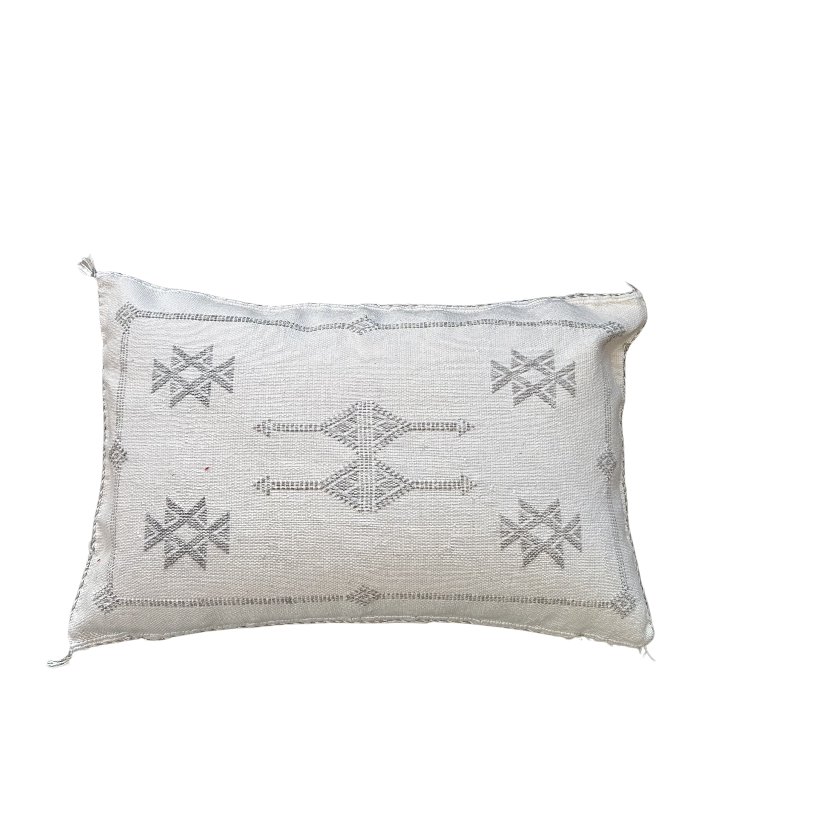 Cushion cover in cactus silk - size 45 x 45 cm.