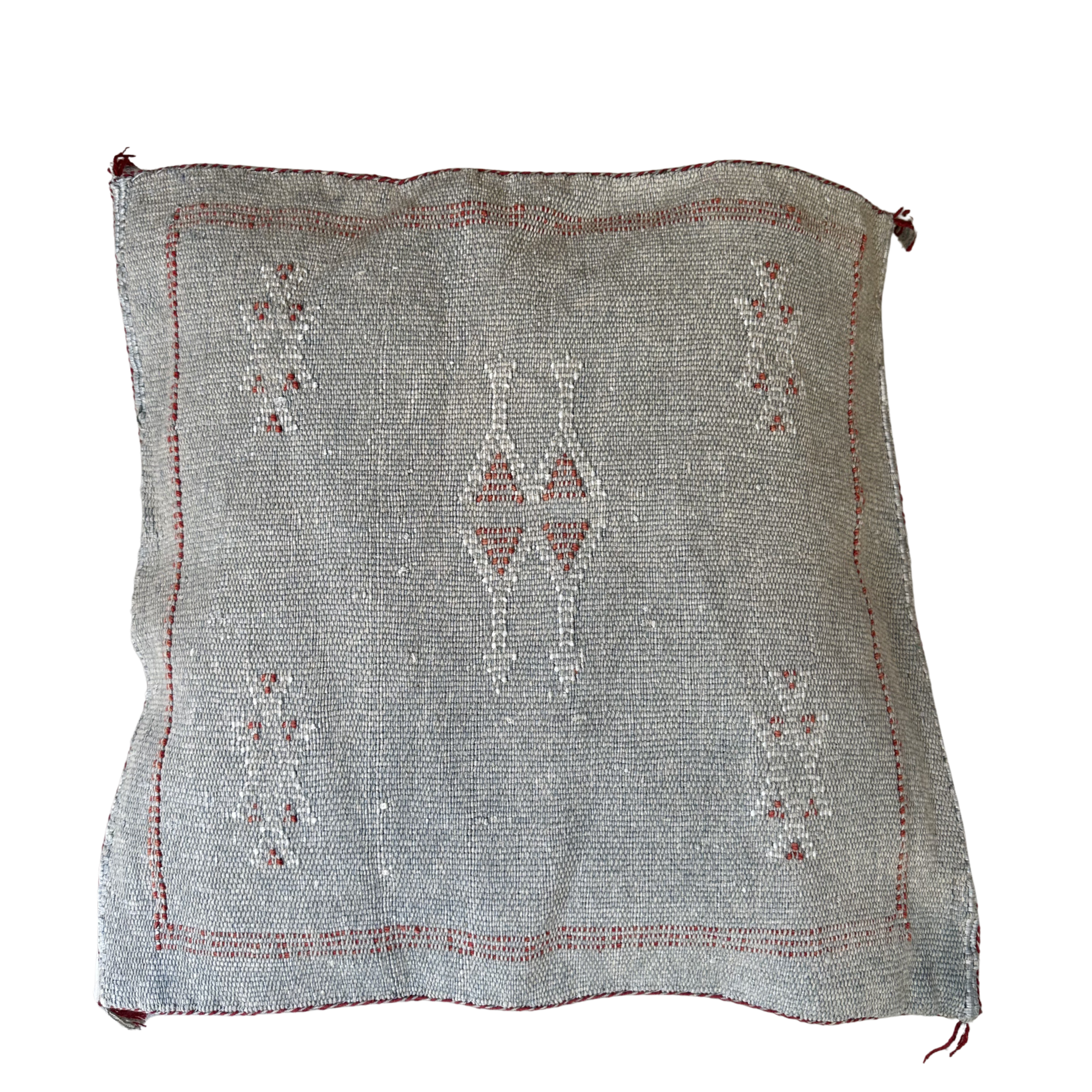 Cushion cover in cactus silk - size 45 x 45 cm.