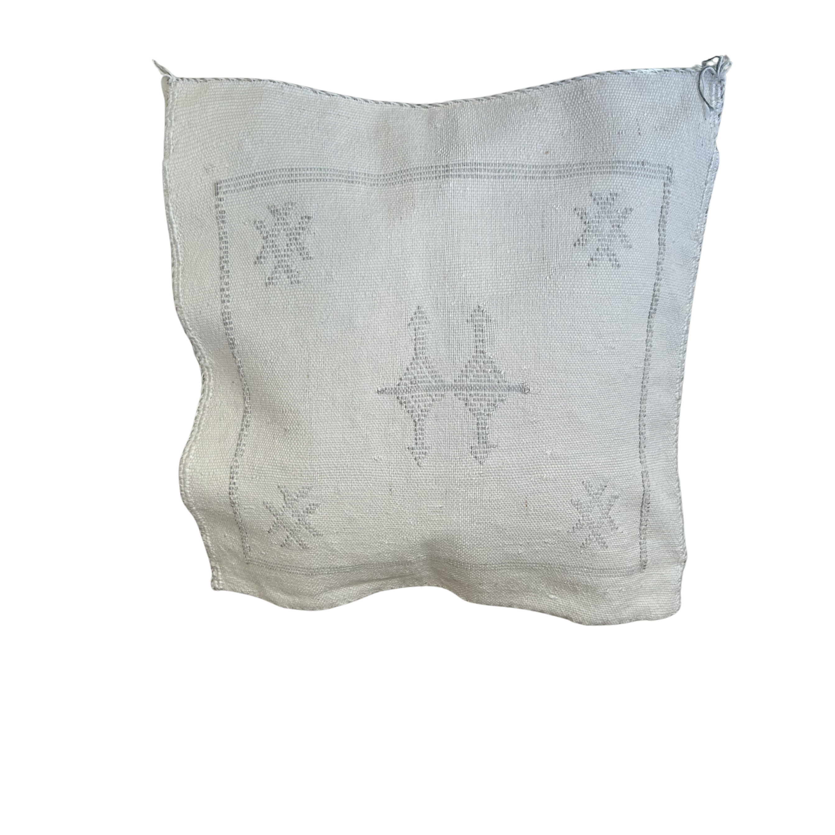 Cushion cover in cactus silk - size 45 x 45 cm.