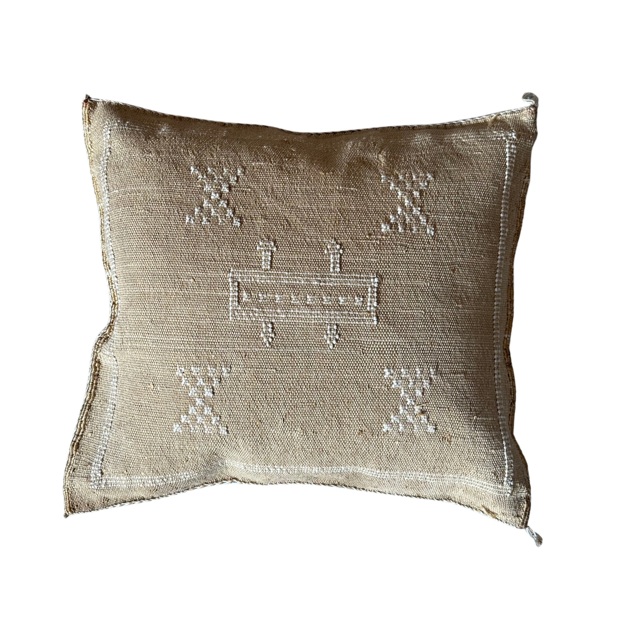 Cushion cover in cactus silk - size 45 x 45 cm.