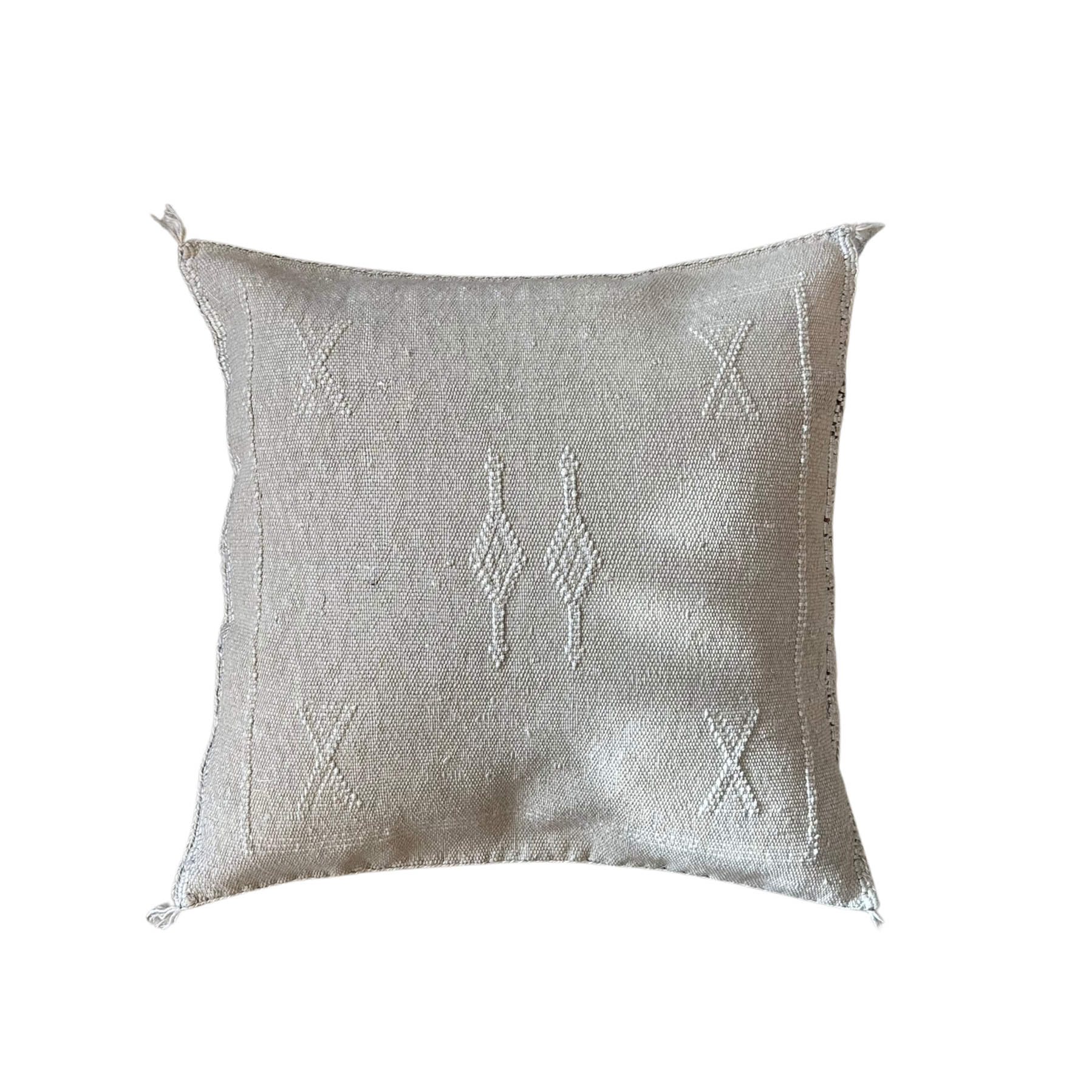 Cushion cover in cactus silk - size 45 x 45 cm.