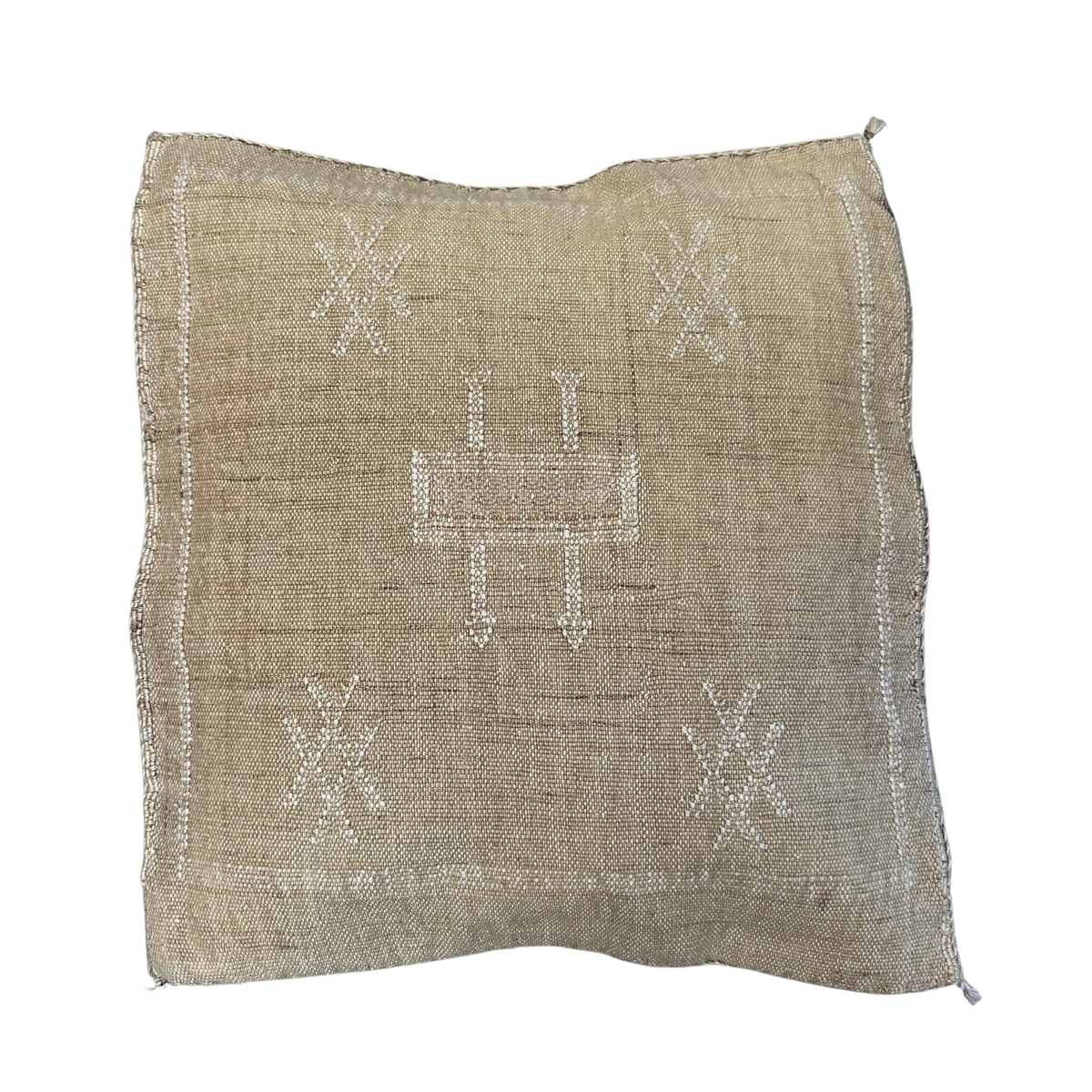 Cushion cover in cactus silk - size 45 x 45 cm.
