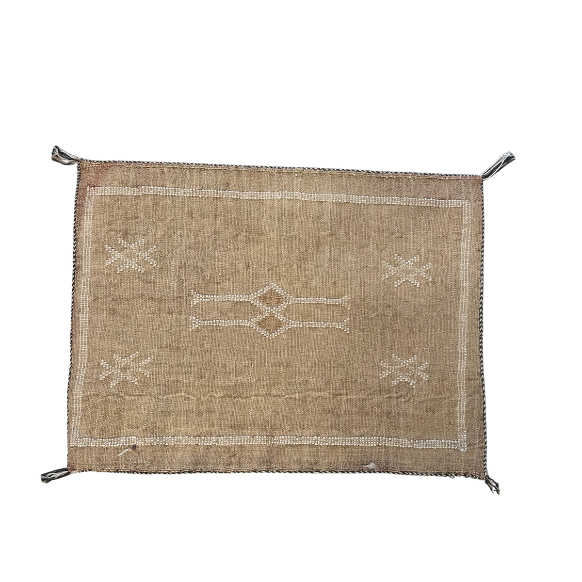 Cushion cover in cactus silk - size 45 x 45 cm.