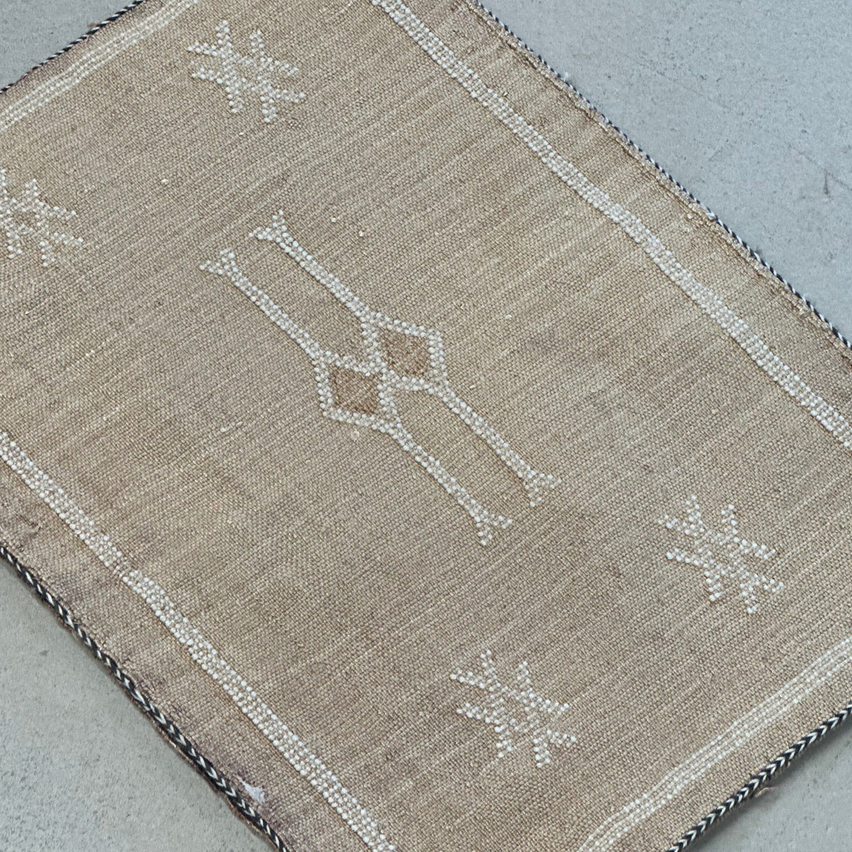 Cushion cover in cactus silk - size 45 x 45 cm.