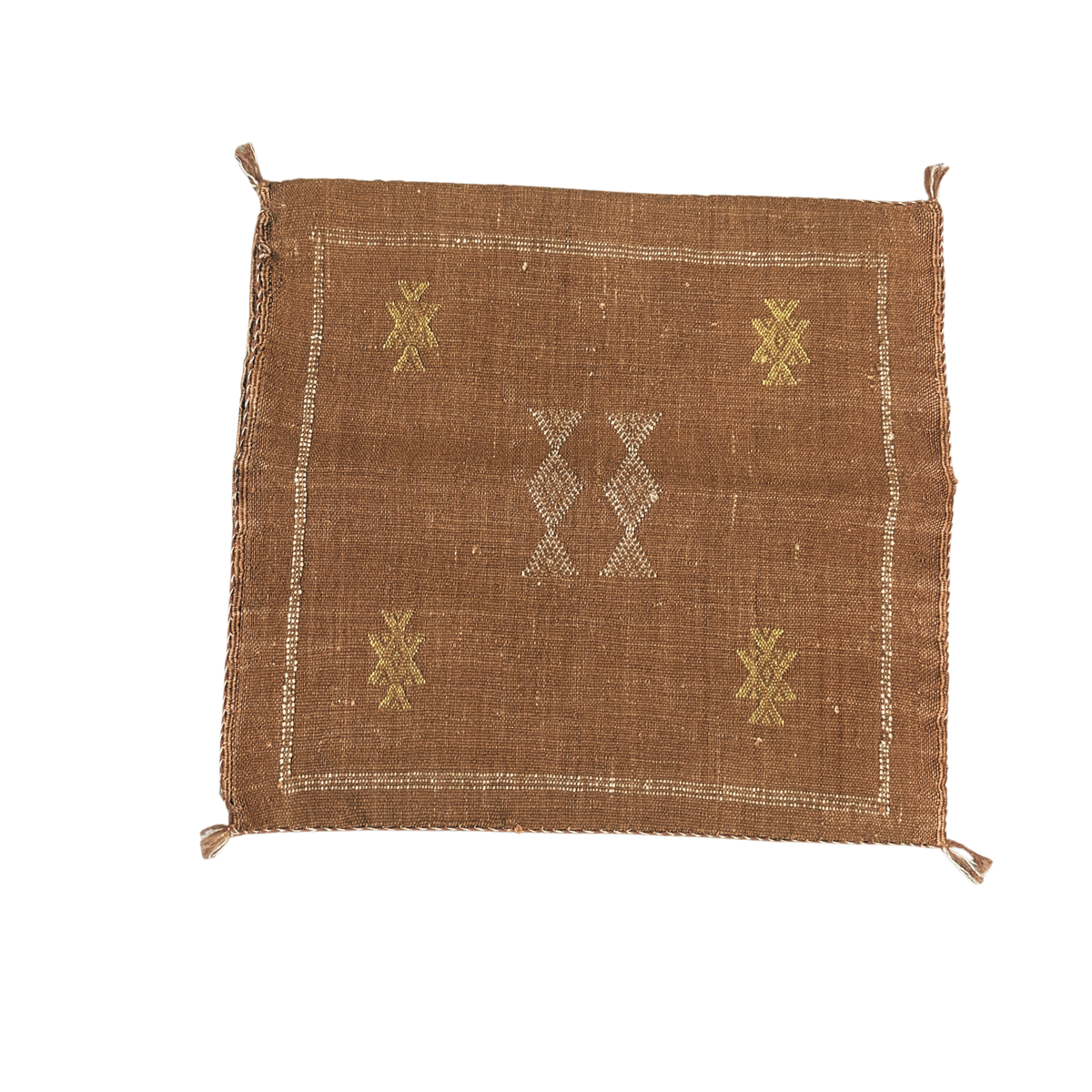 Cushion cover in cactus silk - size 45 x 45 cm.