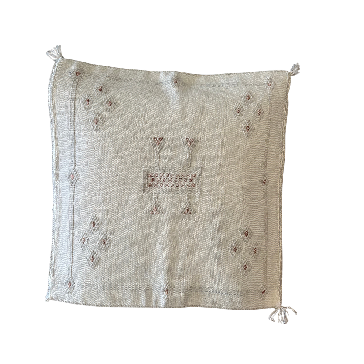 Cushion cover in cactus silk - size 45 x 45 cm.
