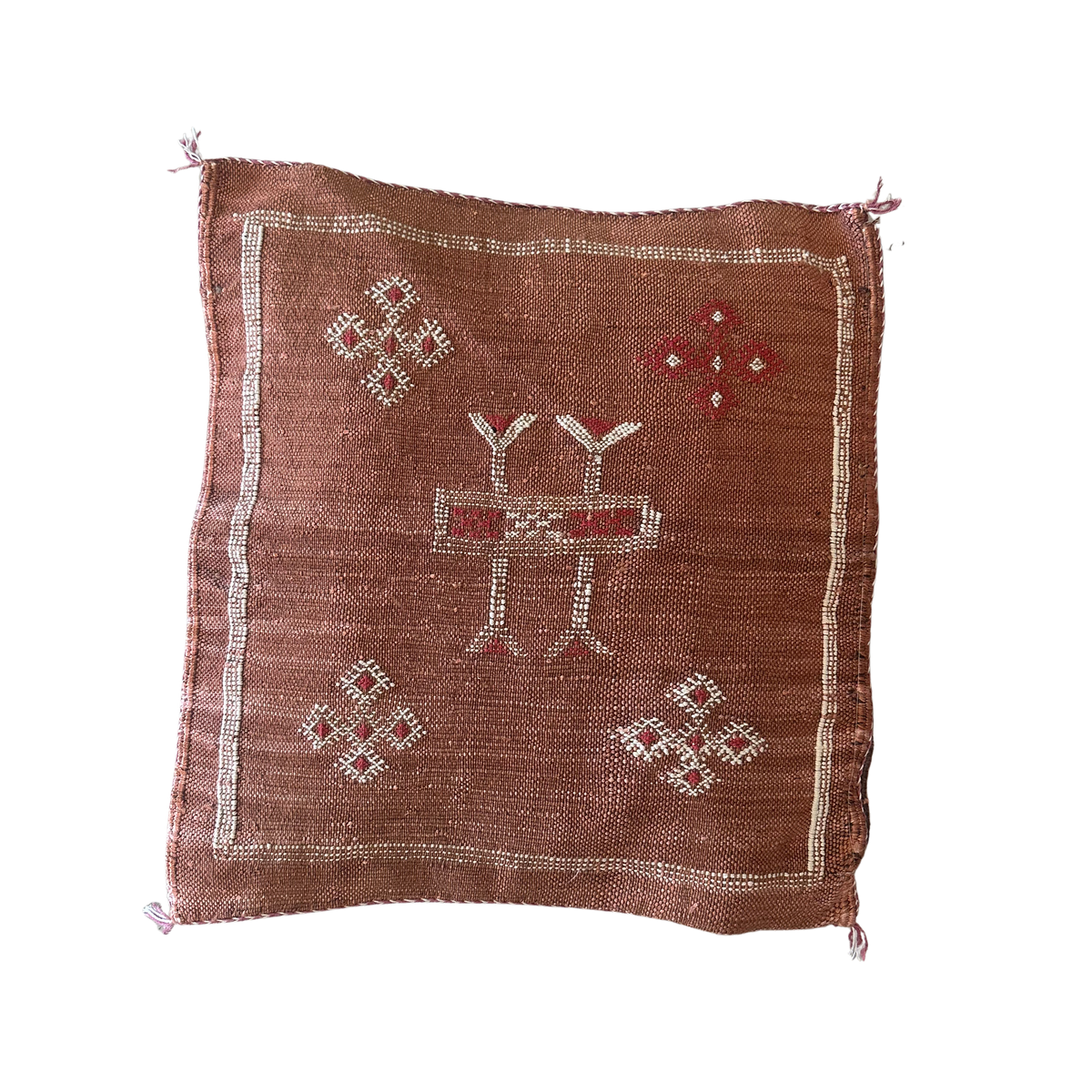 Cushion cover in cactus silk - size 45 x 45 cm.