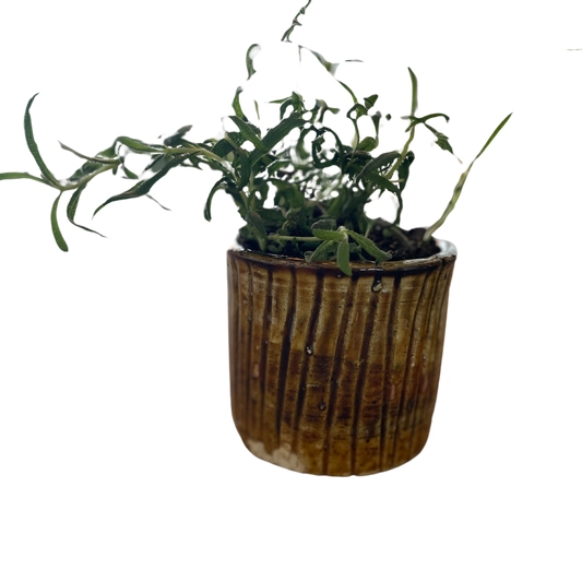 Tamegroute vase - 9 cm høj/9 cm. i diameter