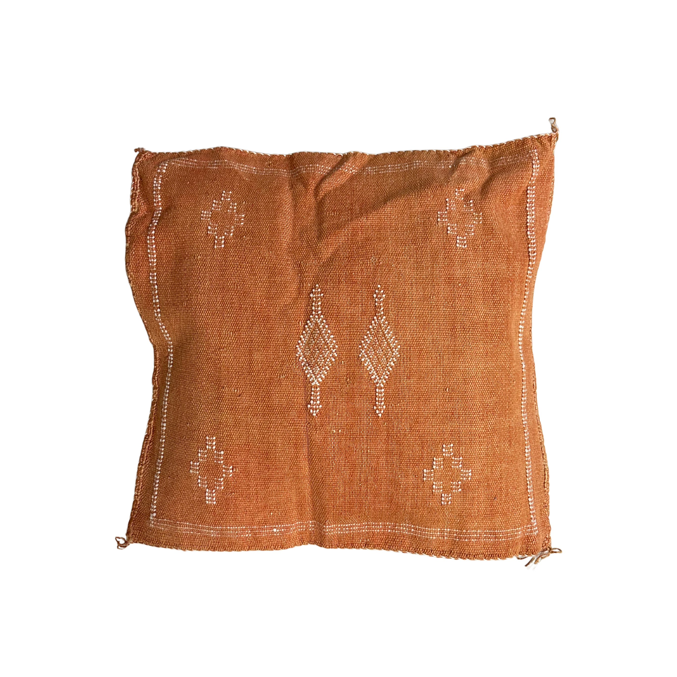 Pudebetræk i kaktussilke - størrelse ca. 45 x 45 cm.