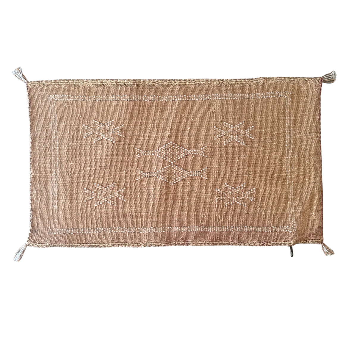 Cushion cover in cactus silk - size 45 x 45 cm.