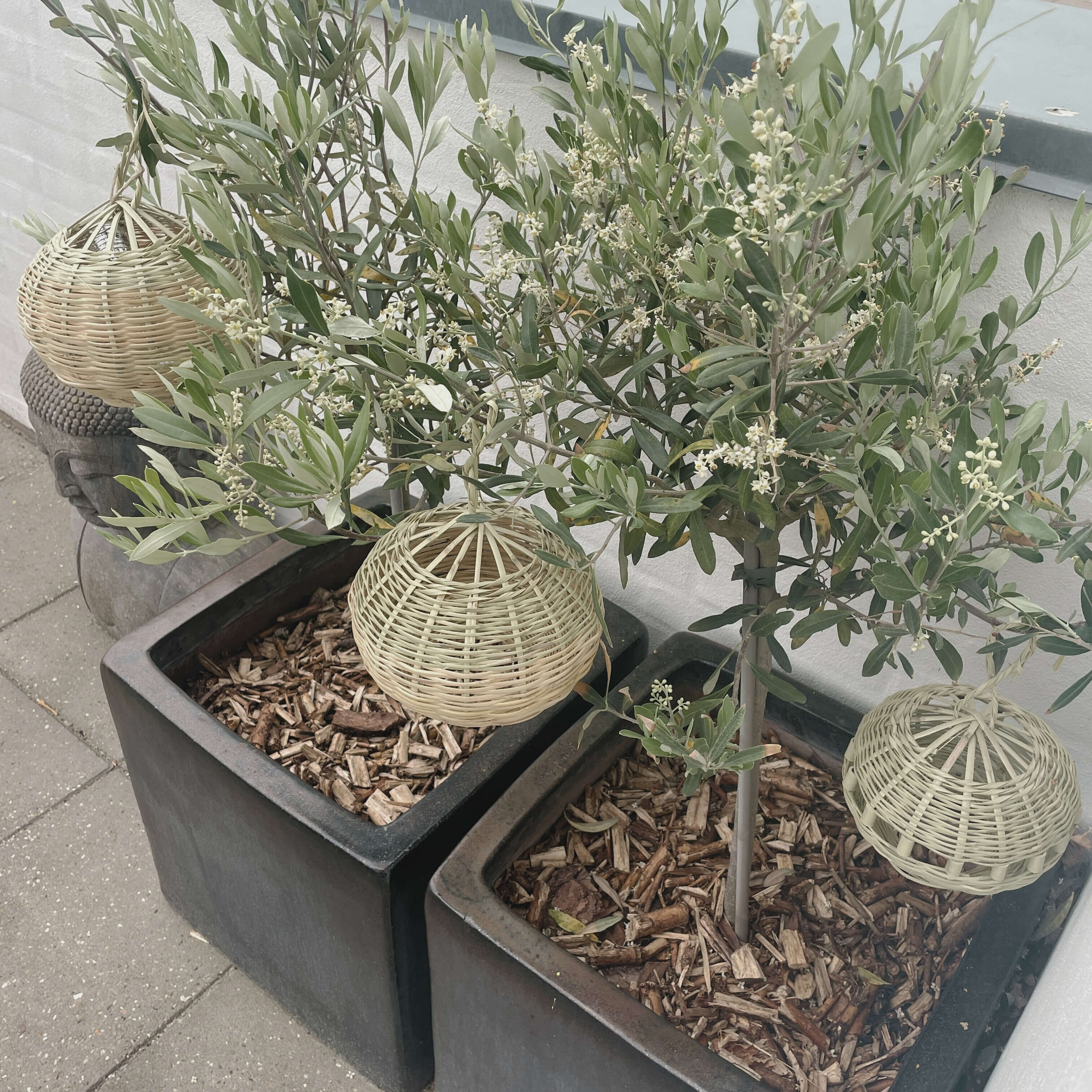 Lampshade for the terrace or the olive tree - 20 cm.