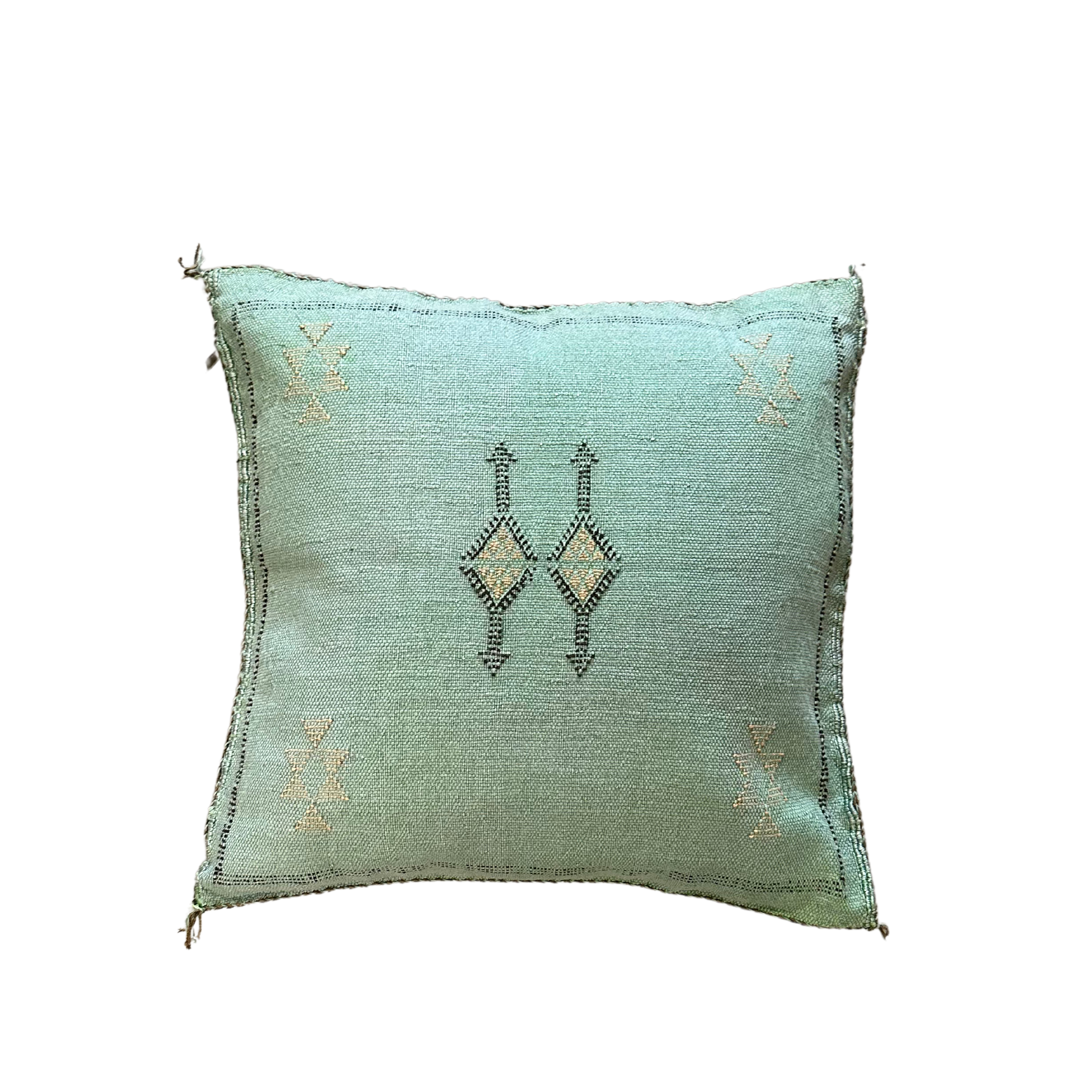 Cushion cover in cactus silk - size 45 x 45 cm.